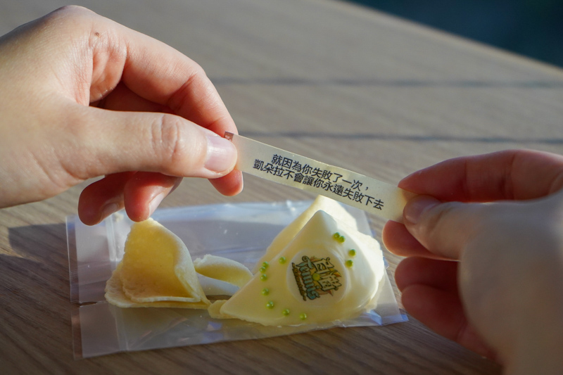 白貓 (1)